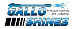 Gallo Shines Logo for Pressure Washing Business